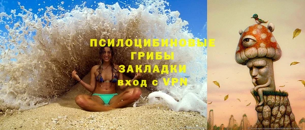 apvp Алзамай